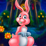 play Pg Funny Rabbit Escape
