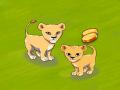 play Cat Safari