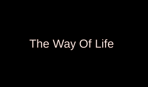 play The Way Of Life