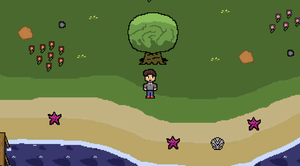 play Pocapola Island Adventure