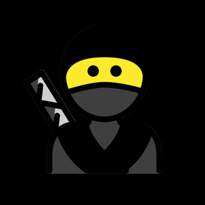 play Ninja Race