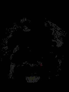 play Fmp Demo 2