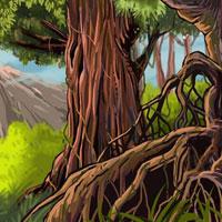 Wow-Jungle Racoon Escape Html5