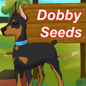 play Dobby Seeds