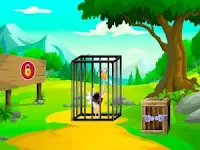 play G2M Rescue The Ostrich Chick Html5