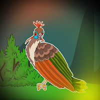 play G2J Hoatzin Bird Escape