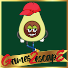 play G2E Sad Kiwi Boy Rescue Html5