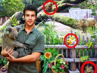 play Zoo Mysteries
