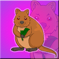 play G2J The Quokka Escape