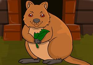 play The Quokka Escape