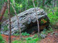 Peaceful Stone Forest Escape