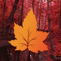 play Hog-Maple Autumn Forest Escape Html5