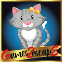 play G2E Stylish Grey Cat Rescue Html5