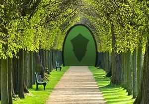 play Glamorous Forest Escape