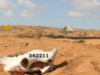 play Figment Cranium Desert Escape