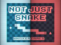 Not Just Snake game