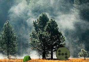 play Cloud Forest Land Escape