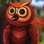 play Fantastic Owl Escape