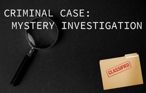 play Group 10 Criminal Case