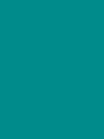 play Point: Color C0De