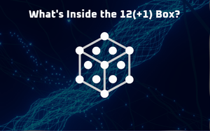 play 12(+1) Box Preview