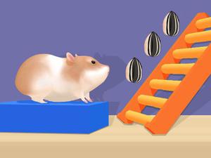 play Hamster Stack Maze