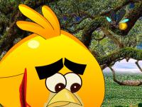 play Agony Bird Escape