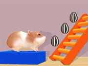play Hamster Stack Maze