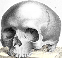 play The Psychopomp