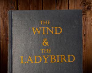 play The Wind & The Ladybird