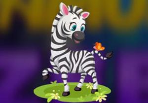 Amusing Zebra Escape