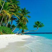 play Tropical Beach Out Escape Html5