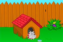 play Toon Escape Backyard