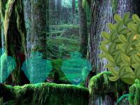 play Mystifying Land Escape
