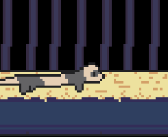 play Ferret'S Hunt For Treasure