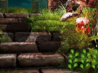 play Dazzle Forest Escape
