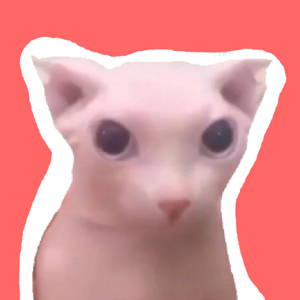 play A Bingus Game