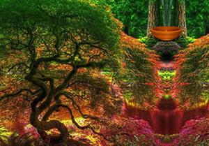 play Escape From Mossy Trees