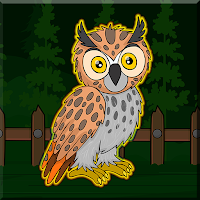 play G2J Long Eared Owl Escape