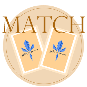 play Match
