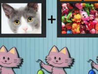 play 8B Kitten Escape