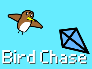 play Bird Chase