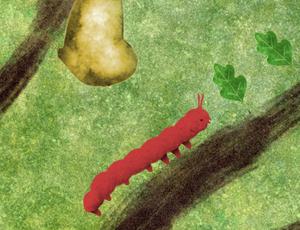 play Butterfly Evolution