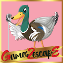 G2E Find Singer Duck Guitar Html5