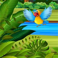 play Birds-Board-Puzzles-Lofgames