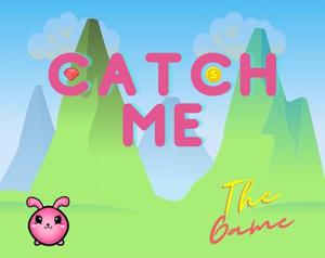play Catch Me