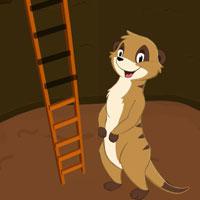 play Big-Help The Meerkat Html5