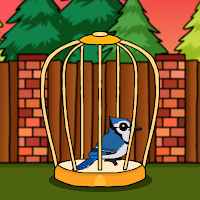 play G2J Rescue The Blue Jay