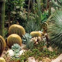 play Wow-Cactus Garden Escape Html5