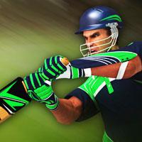 play Cricket Batter